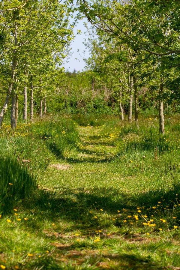 Вилла Ty Pren Bach Maenclochog Экстерьер фото