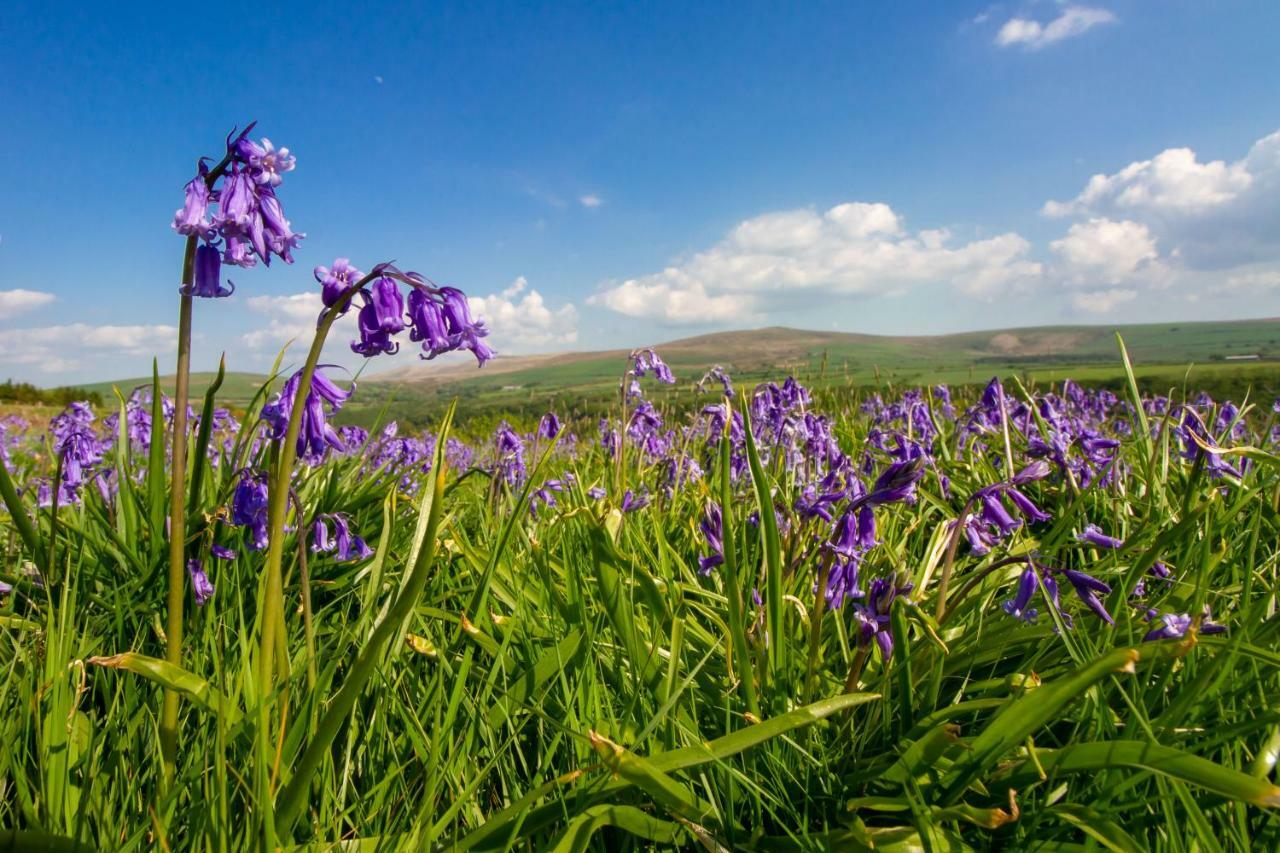 Вилла Ty Pren Bach Maenclochog Экстерьер фото
